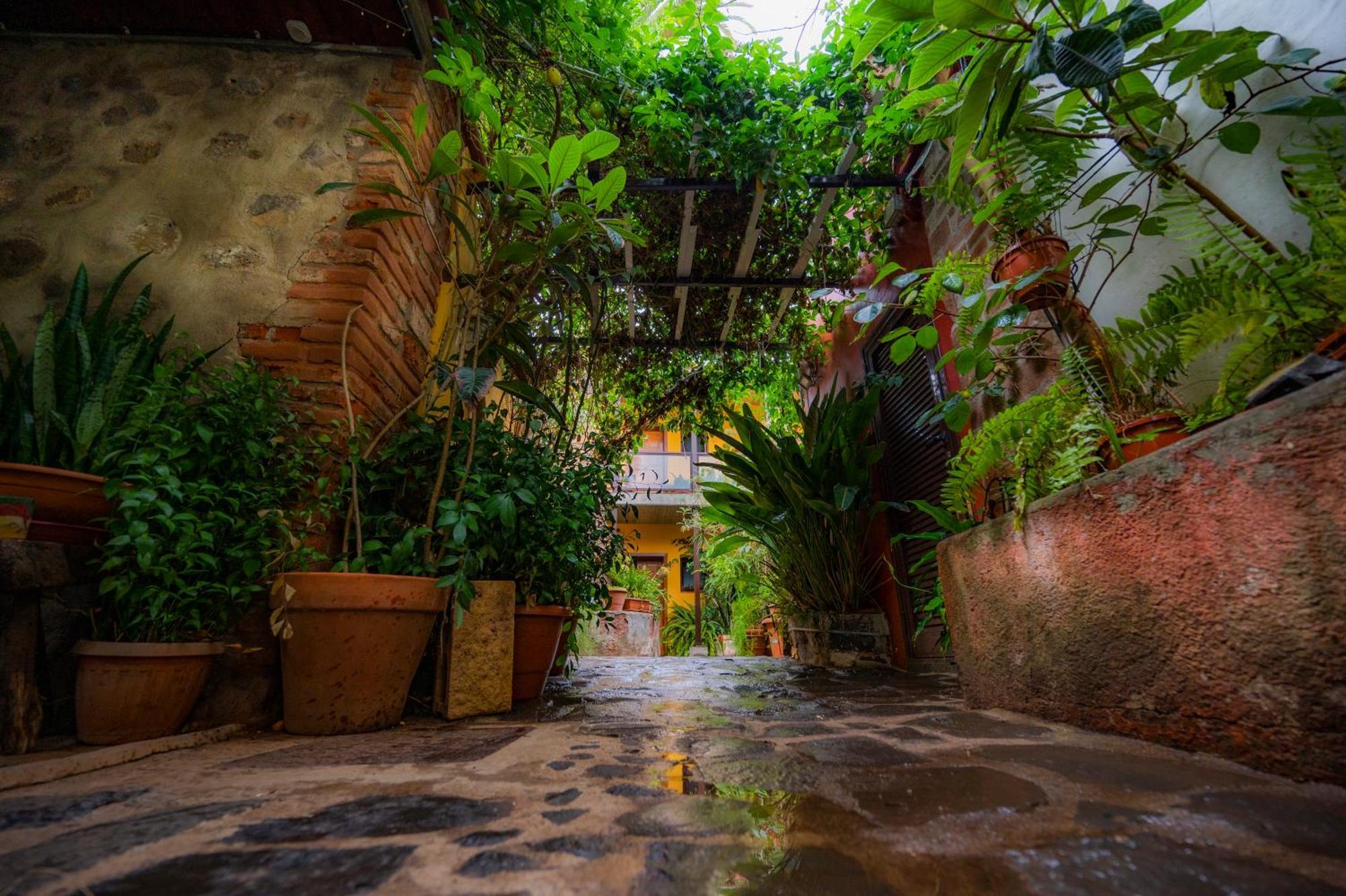 Penzion La Asomada Del Gato La Laguna  Exteriér fotografie